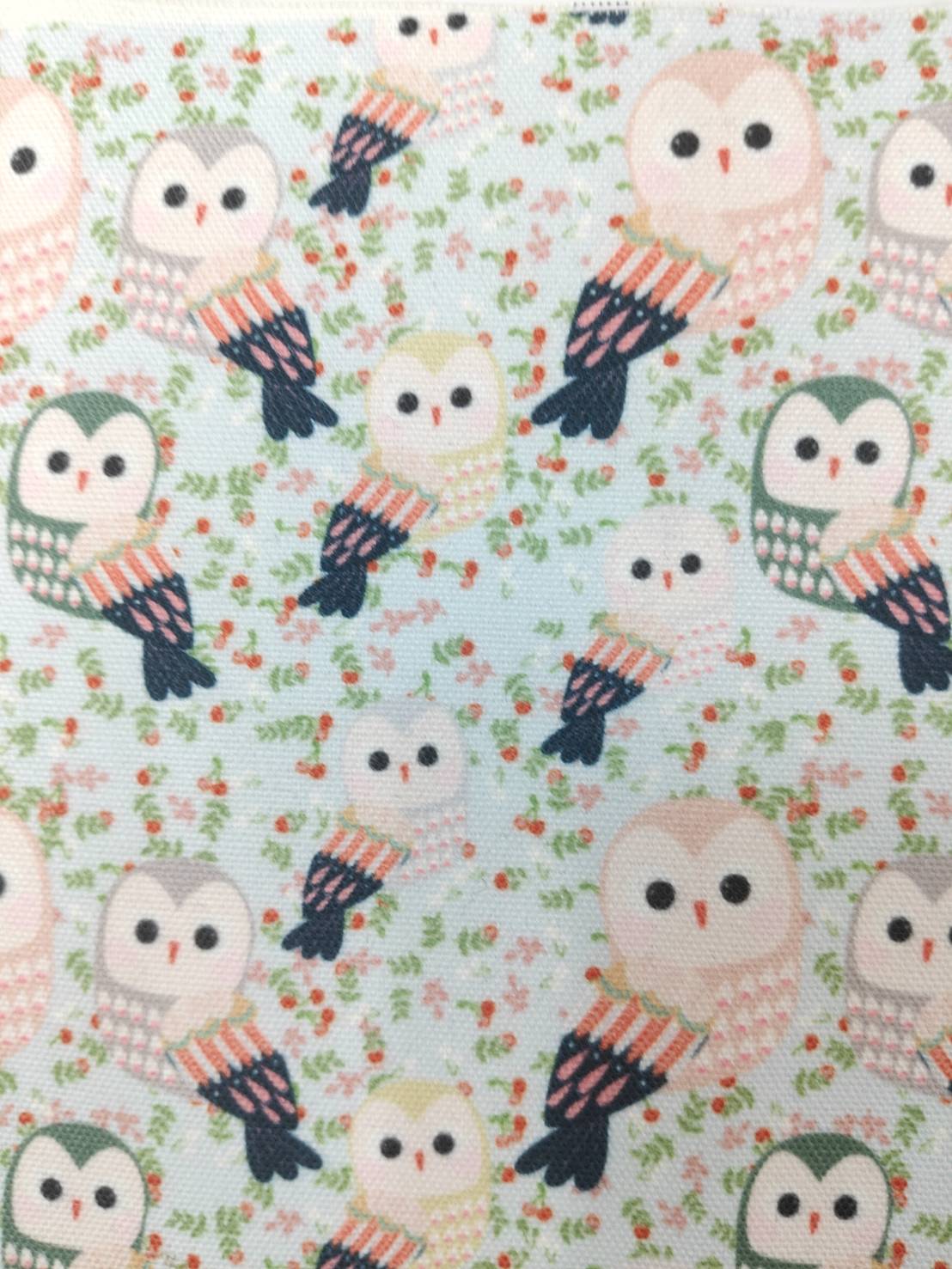   Hanegomori  owl  picture